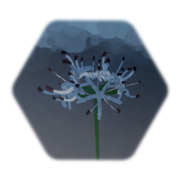 Lycoris (white)