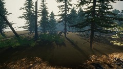 Peaceful forest