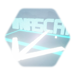 Sprint Cup USA Finish line