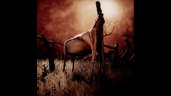 BEKSIŃSKI gallery Updated