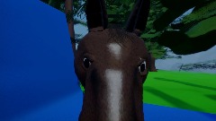Horse/Cavalo