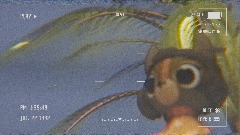 Video Camera Footage