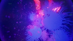 A screenshot taken in Dreams. 10 of 12.