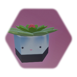 Succulent planter