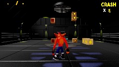 crash bandicoot