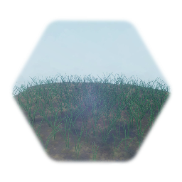 Grass