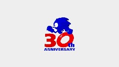 Sonic 30th Anniversary Logo (P-06)