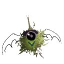 aiden_animatons