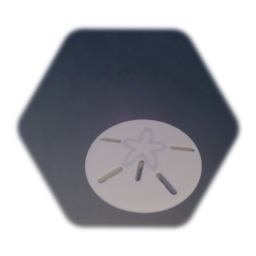 Sand Dollar