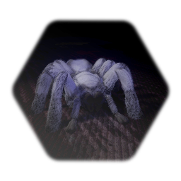 Tarantula Model