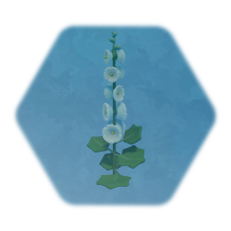 Hollyhocks - White