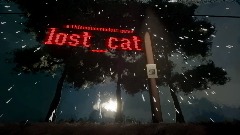lost_cat 