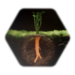 Carrot