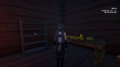 Oasis Shack Interior 3