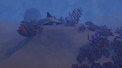 The life of a shark 2.0