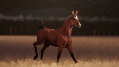 My Creation - 6/9/2021