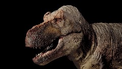 A screenshot taken in Dreams. 1 of 9.