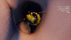 A screenshot taken in Dreams. 16 of 20.