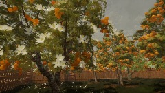 Community Garden Showcase: Fruit Trees
