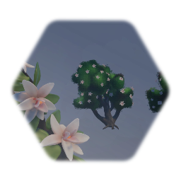 Magnolia Grandflora :Community Garden 2.8