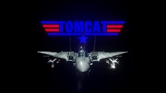 F-14B Tomcat - Teaser