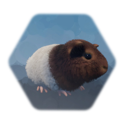 Guinea Pig (Daisy)