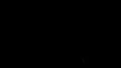 FNAF SL / 4AM