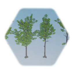 American White Oak Tree realistic