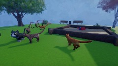 A park full of cats