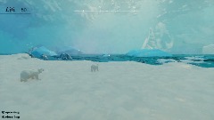 Arctic survive sandbox