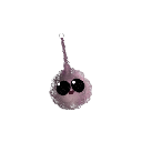 BelieveInBill