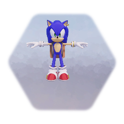 Sonic The Hedgehog MY STYLE!!!