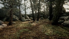 A screenshot taken in Dreams. 2 of 12.