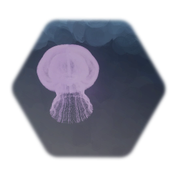 Jellyfish