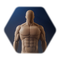 Realistic male muscle template