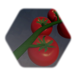 Tomatoes on the Vine