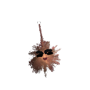 o0aynis0o