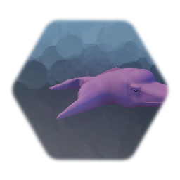 Amazon River Dolphin