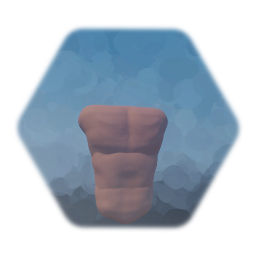 Realistic torso