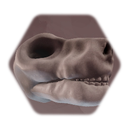 Wofheim skull