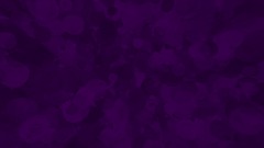 DirtyDan Direct : Third Party Rules, Enter Steps, And Deadline.