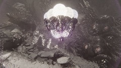 When tiger smoked pipes