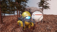 WHEN THE IMPOSTER IS DUMB