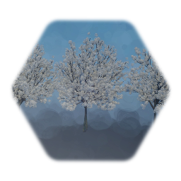 Bradford Pear Tree swaying