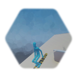 Skiier