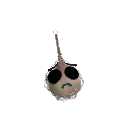 Aquatic_Duck15