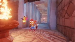 Temple of the Bandicoot