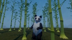 Panda Demo