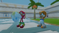 Tikal's Chao Care Tips
