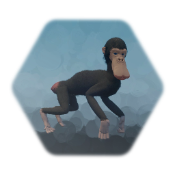 Weird Duck Ape Thing